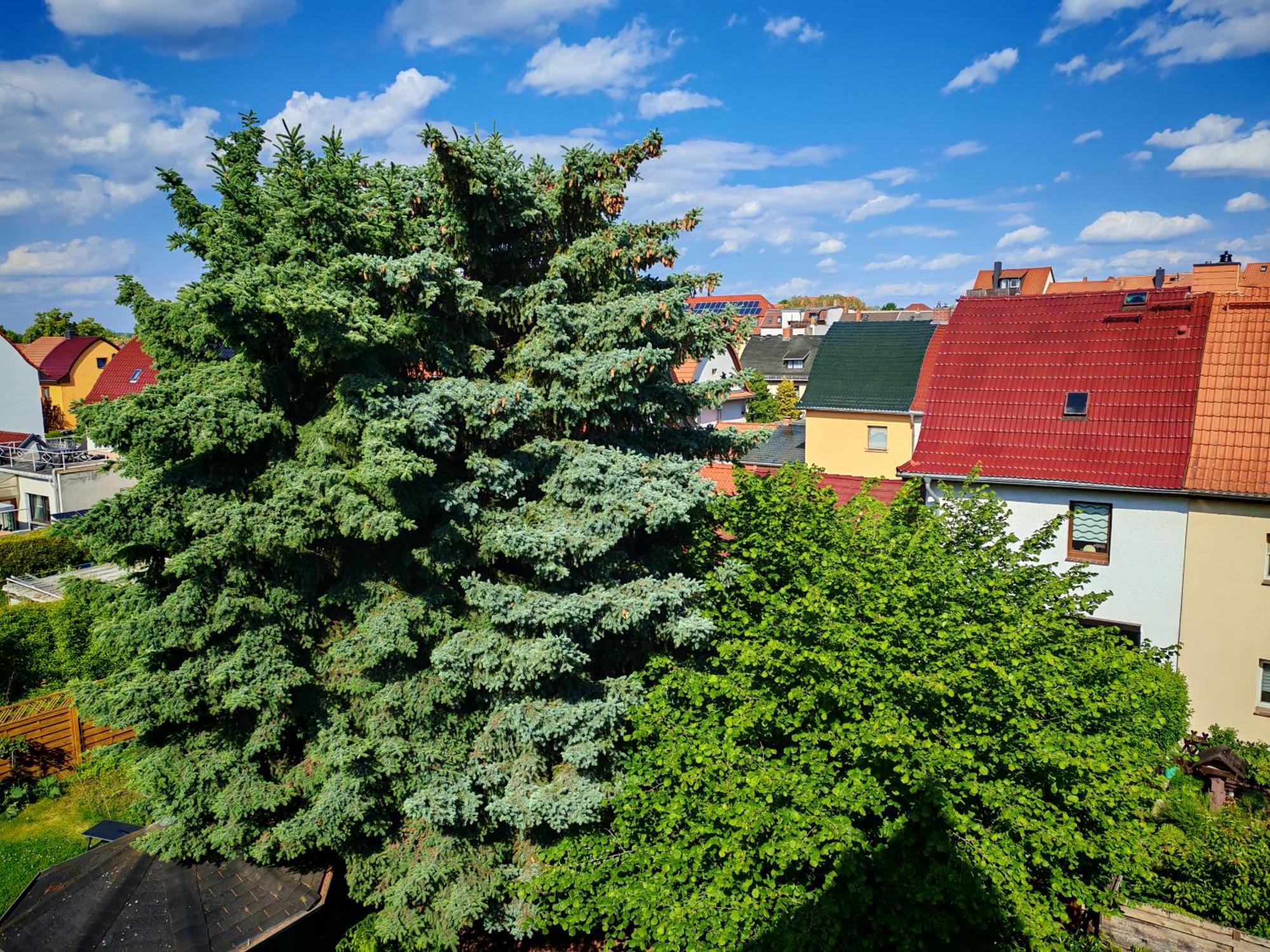Domstadt Apartments แมร์เซอบวร์ก ภายนอก รูปภาพ